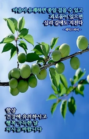 겸손