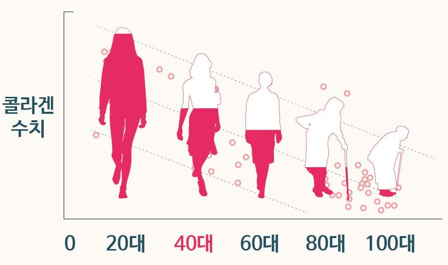 저분자 콜라겐