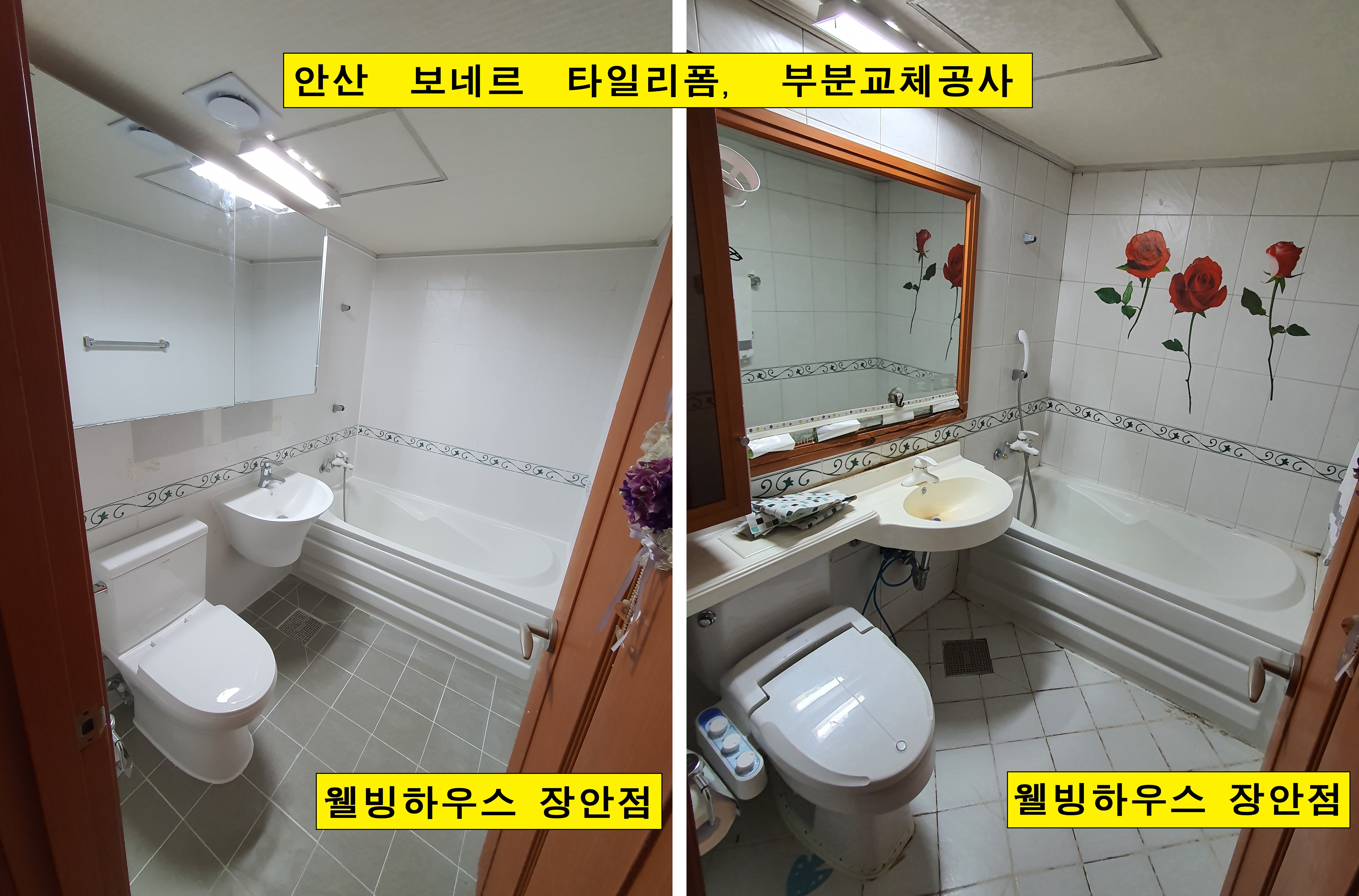 보네르 이미지