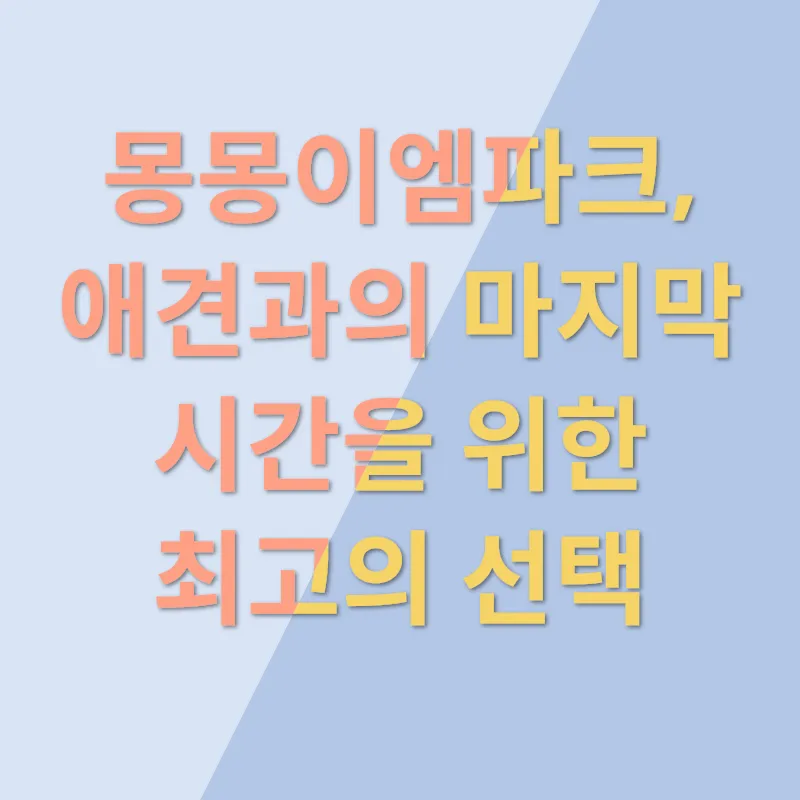 애견장례_2