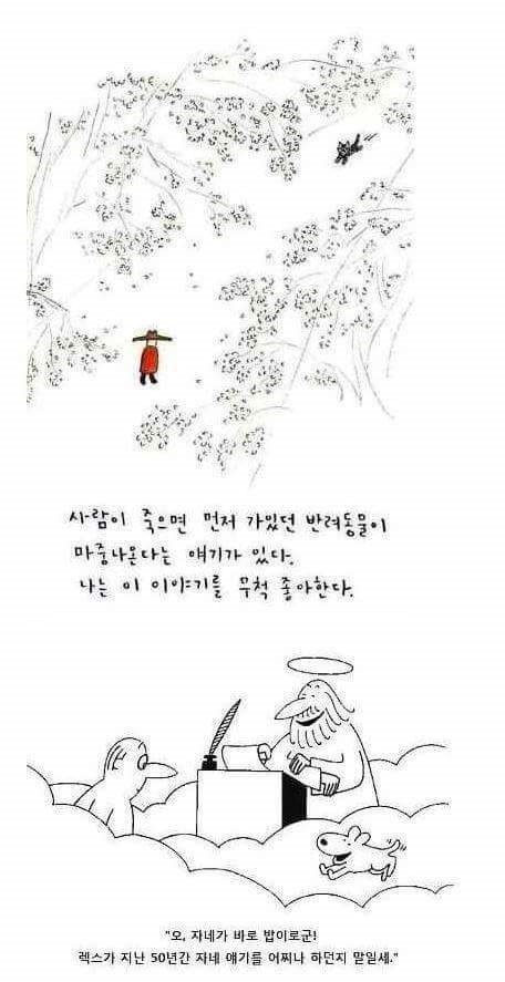  필자와 약 17년을 동거동락한 보물 반려견 시츄가 얼마전 하늘의 별이 되었습니다