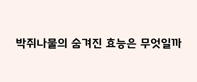 박쥐나물 효능, 부작용 및 먹는법