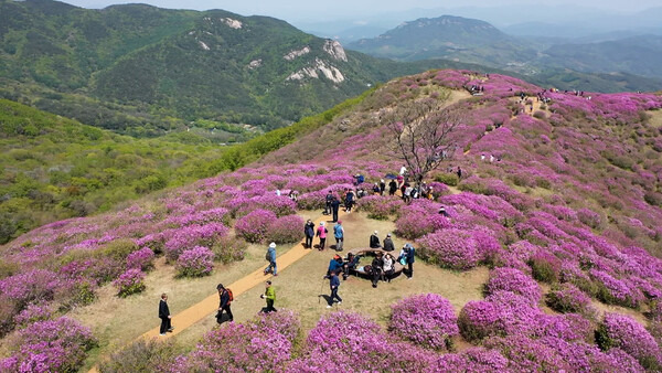 합천 황매산 철쭉축제