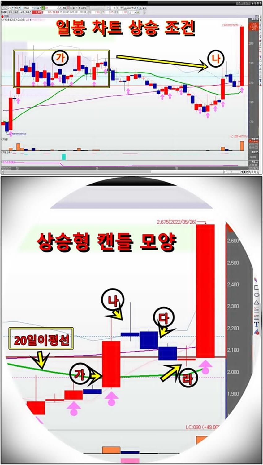 SDN-일-봉-차트-분석