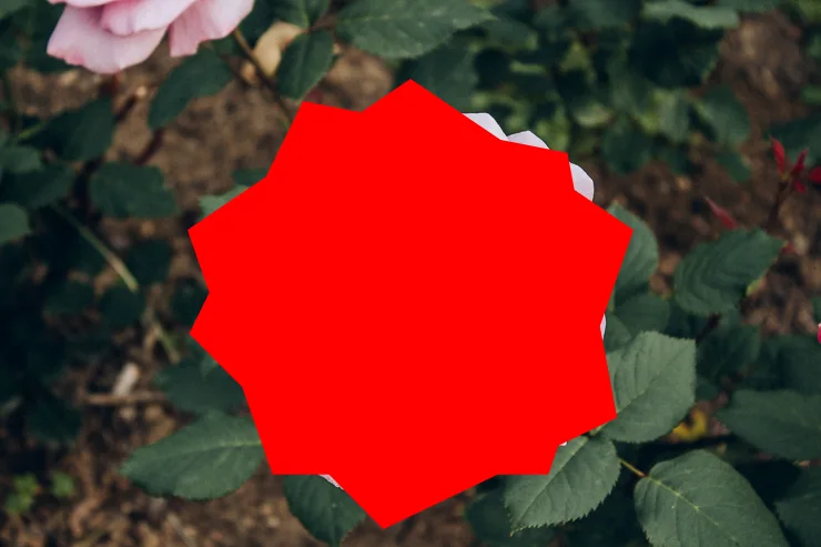 어도비 포토샵으로 도형을 추가한 모습