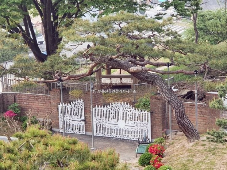 충청남도 공주시 계룡면 전원주택 단독주택 매매 12억 넓은마당에 노송 조경수 조경석 충청남도 공주시 계룡면 전원주택 단독주택 매매 12억 넓은마당에 노송 조경수 조경석