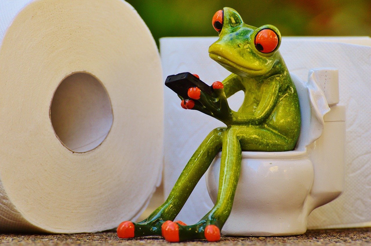 변기에 앉아서 핸드폰을 보고있는 개구리 피규어 