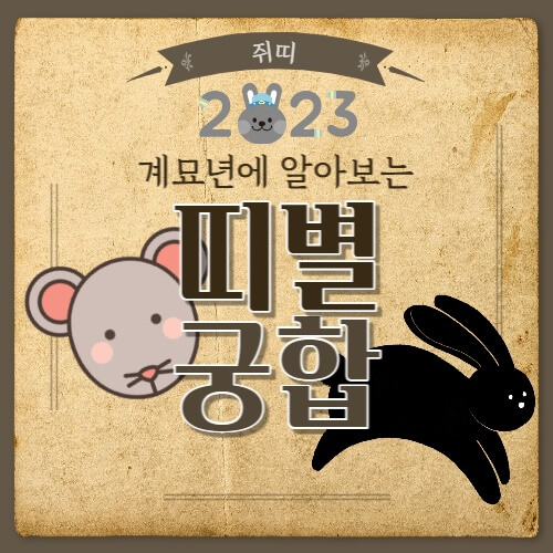  [띠별 궁합] 쥐띠 궁합 어떤 띠와 잘 맞을까?