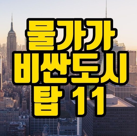 세계에서 가장 물가가 비싼 도시 11위 [이코노미스트 2022년판]