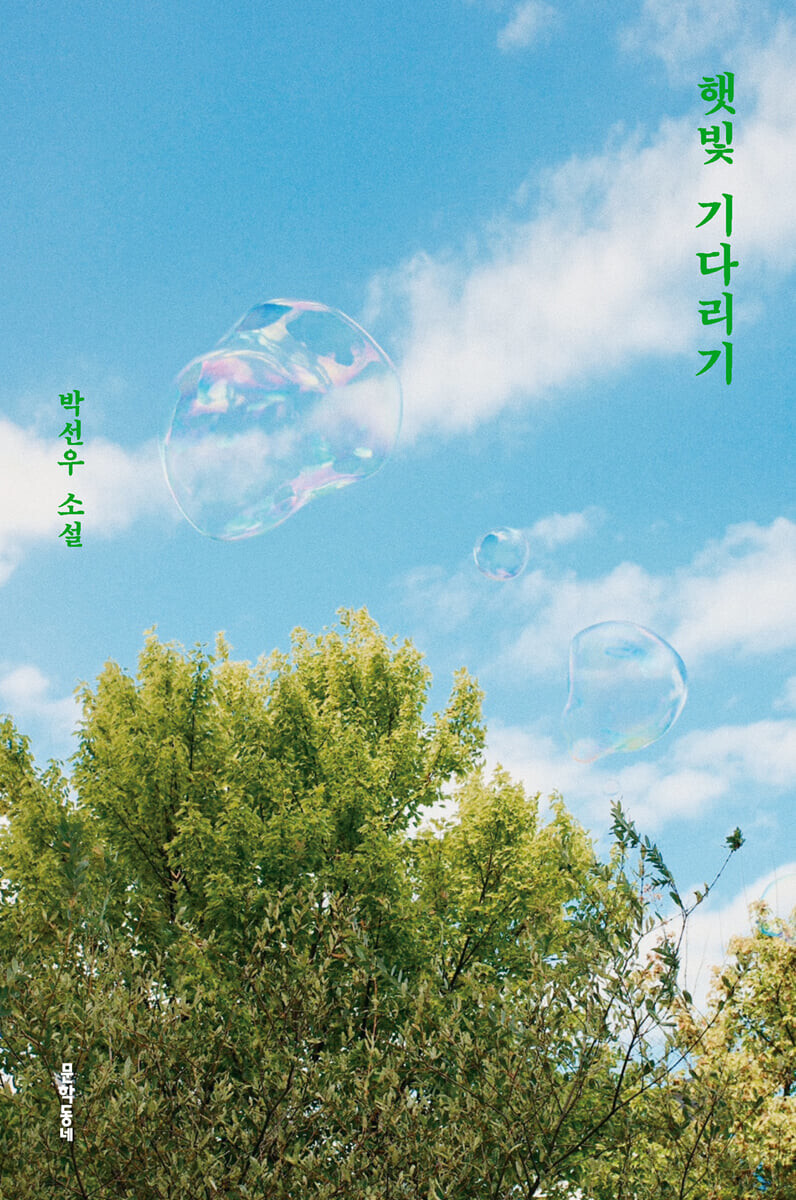 햇빛 이미지