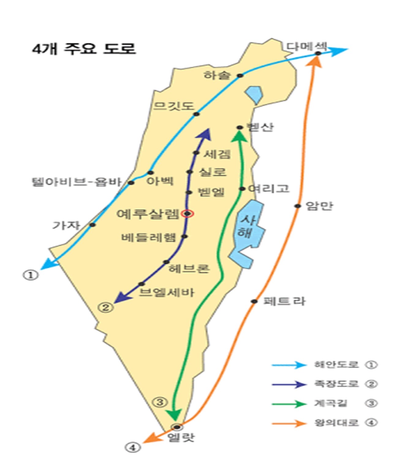 엔로겔 이미지