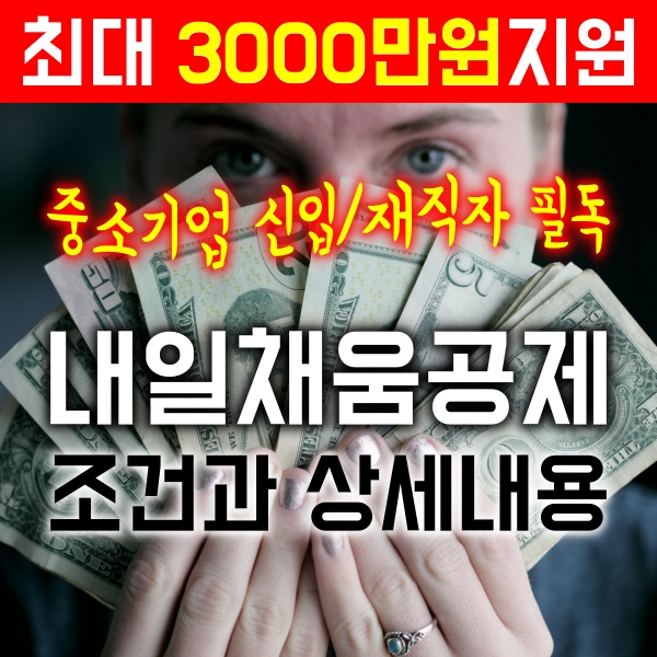  꼭 해야할 청년 내일채움공제(중소기업 대상, 재직자도 가능)
