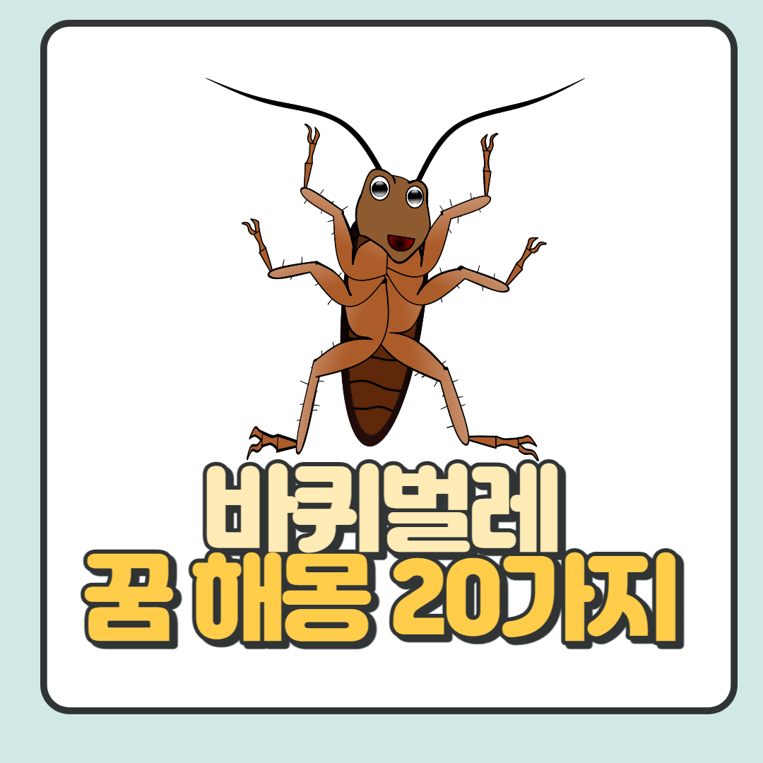 바퀴벌레-꿈-해몽