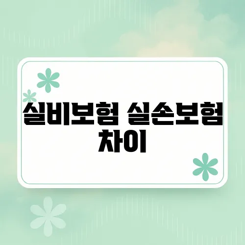 실비보험 실손보험 차이