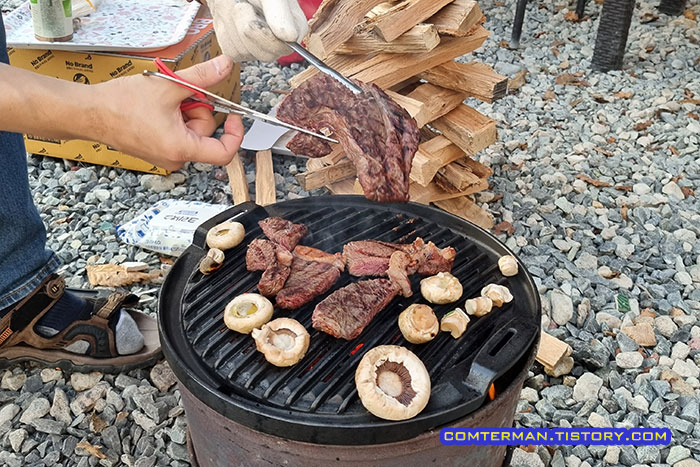 알파카라반 이미지