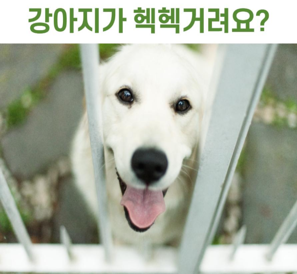  강아지가 헥헥거려요?