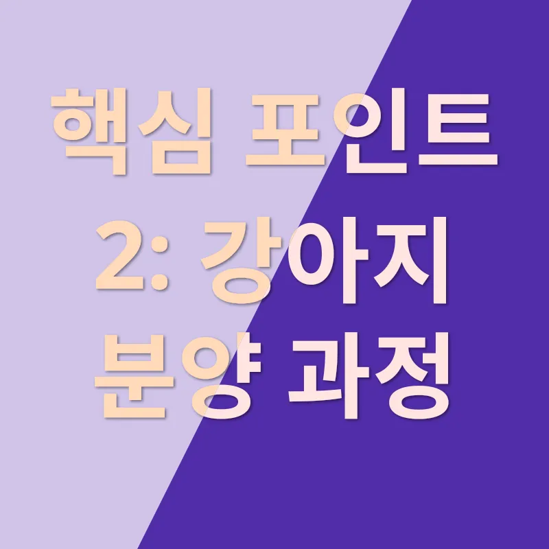 강아지 분양_2