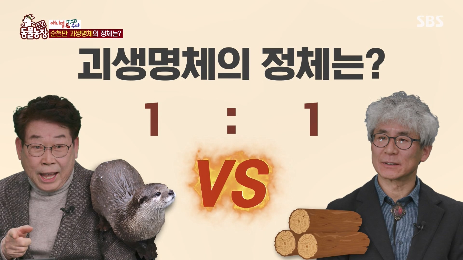 TV 동물농장.E1164.240324p-NEXT.mp4_20240324_170406.536.jpg