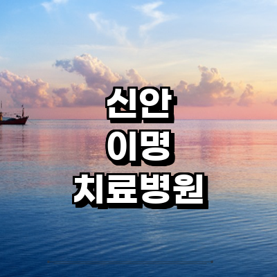 신안군 이명