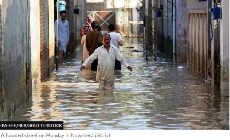 [세계는 지금] 파키스탄 대홍수: 국토의 3분의 1 물에 잠겨 VIDEO: Pakistan floods: One third of country is under water - minister