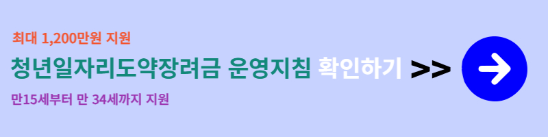 청년일자리도약장려금