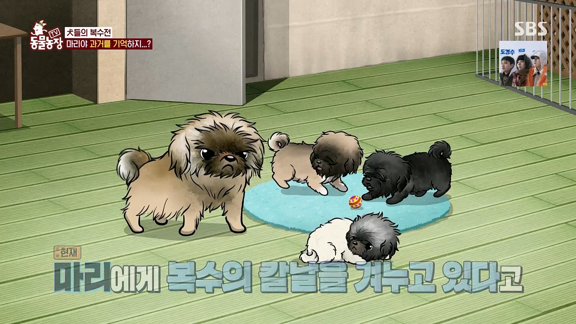 TV 동물농장.E1110.230305p.H264-F1RST.mp4_20230305_183158.151.jpg