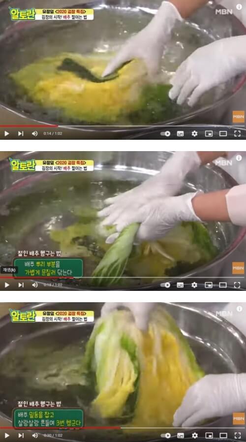 절인-배추-씻기-1