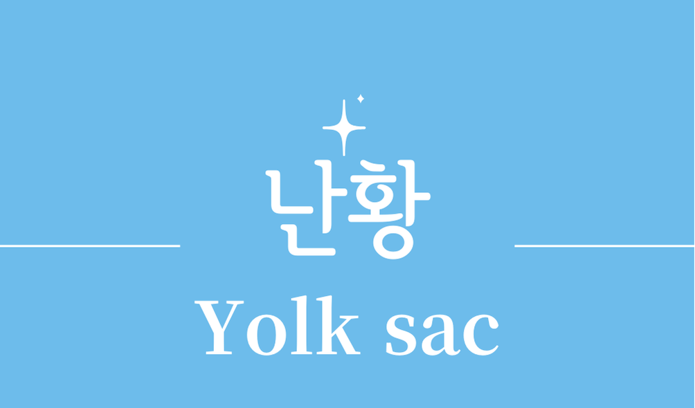 '난황(Yolk sac)'