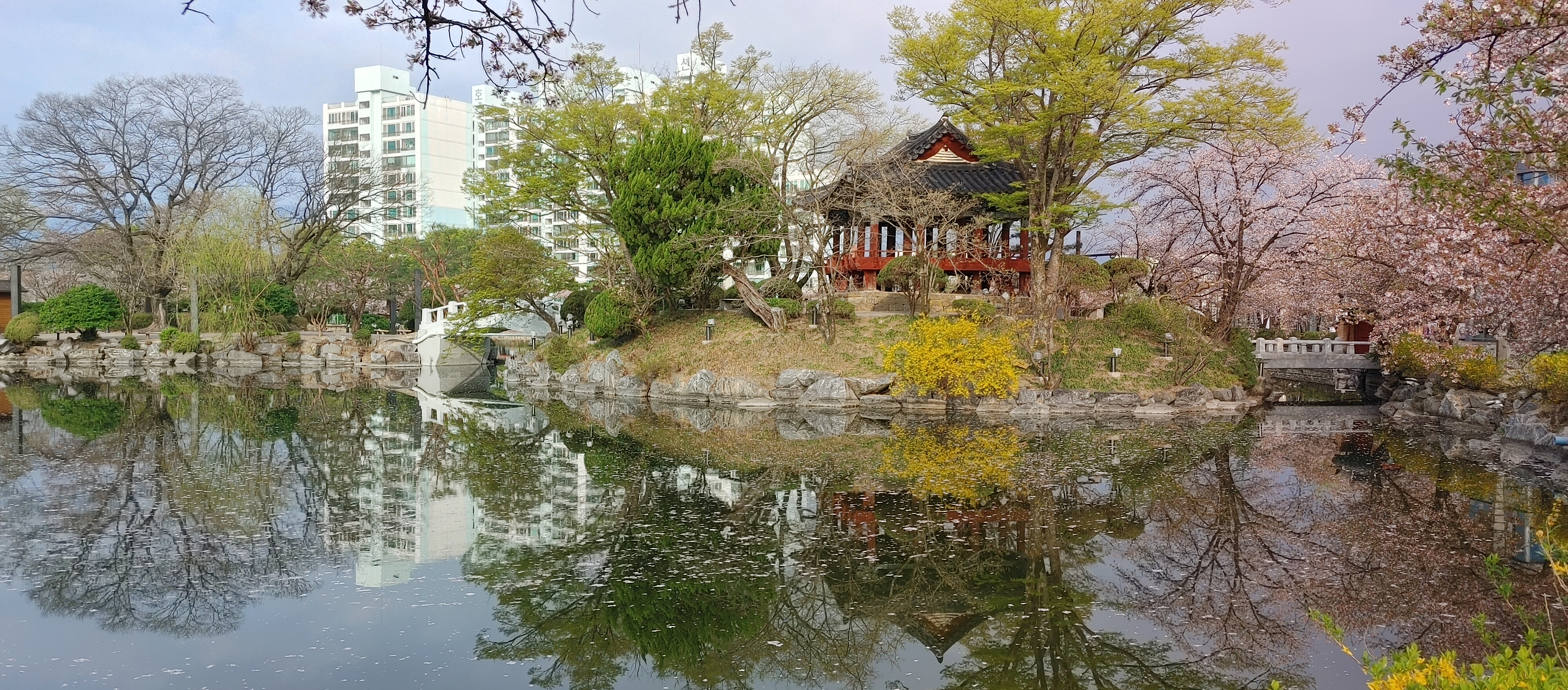 연화지 이미지