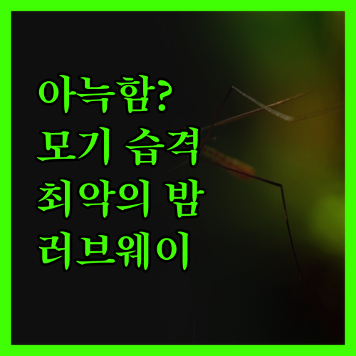 러브웨이모텔 아늑함에 속았네 모기와의