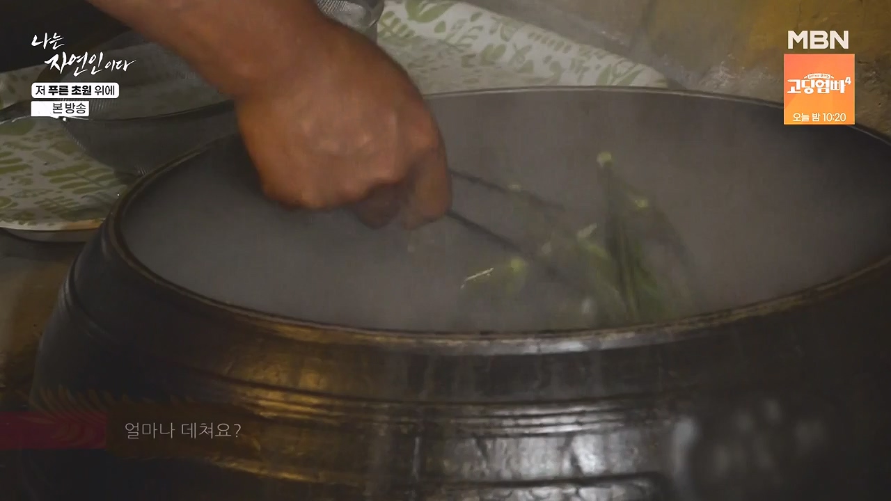 나는 자연인이다.E607.240530p-NEXT.mp4_20240530_200525.259.jpg