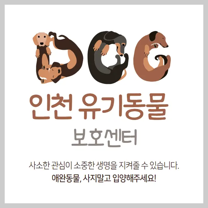 인천-유기동물보호센터-강아지-고양이-유기-동물-보호소
