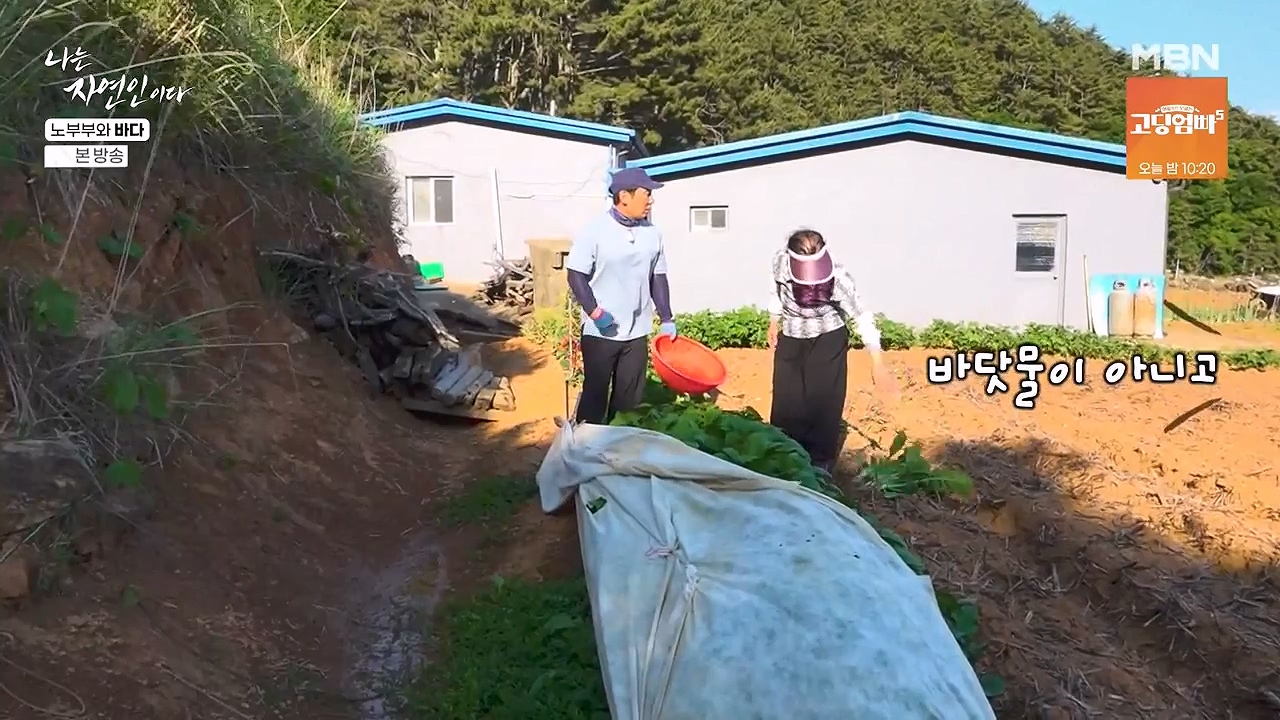 나는 자연인이다.E610.240620p-NEXT.mp4_20240620_193540.649.jpg