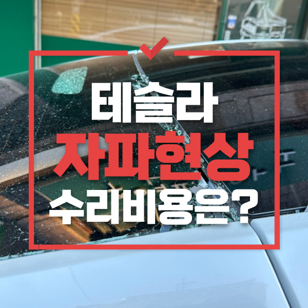 테슬라 자파현상에 대하여