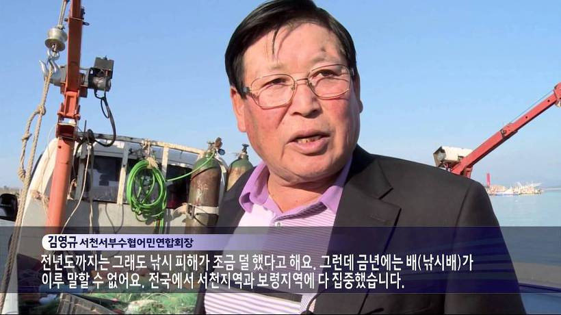 3월 봄철 쭈꾸미 낚시 금어기 기간 5.11 ~ 8.31 2