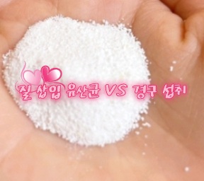 질삽입-유산균-효과