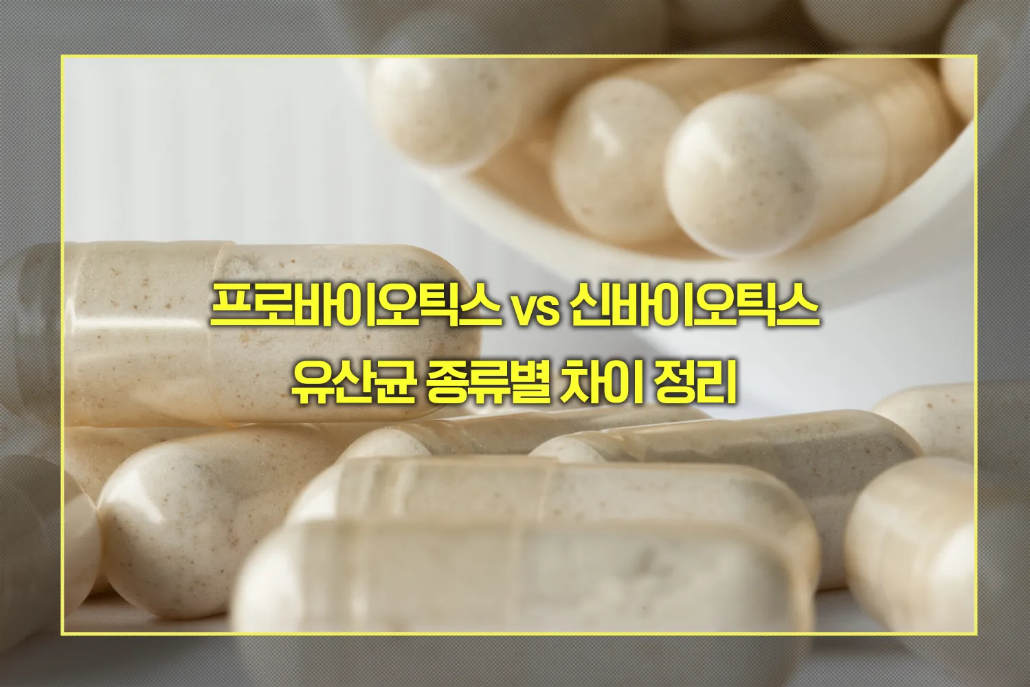 유산균 종류별 차이