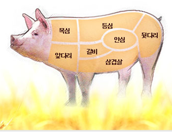 돼지고기 부위별 명칭