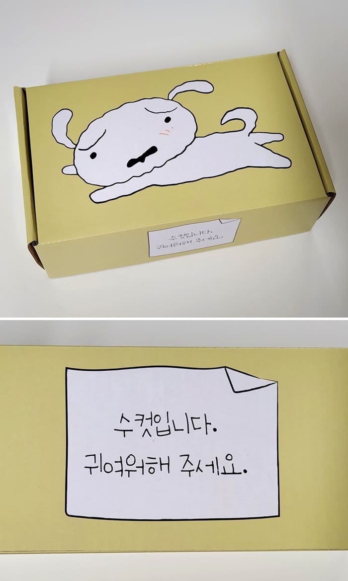 댄꼼마-팝업-흰둥이-밥그릇-패키지-사진