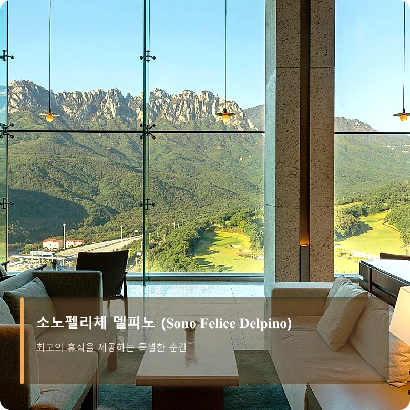소노펠리체 델피노 (Sono Felice Delpino)_1