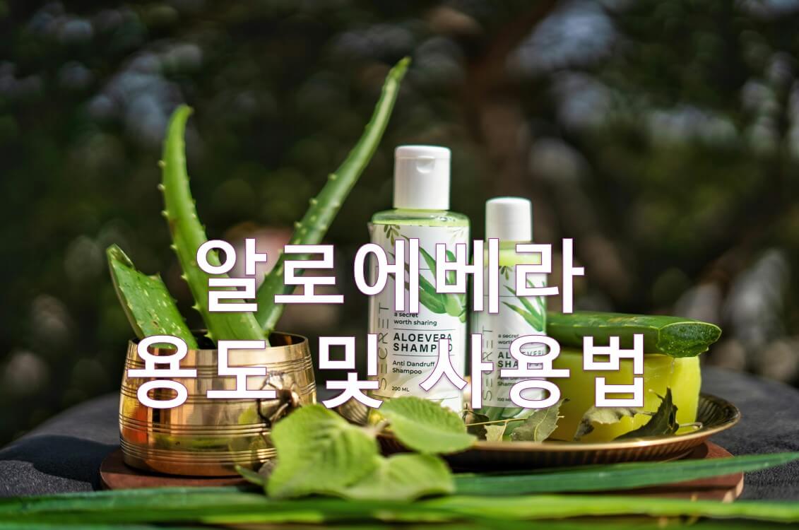 알로에베라로 만든 샴푸
