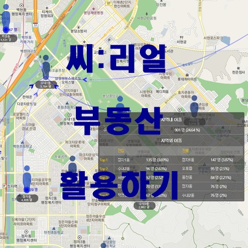  씨리얼 부동산 활용하기