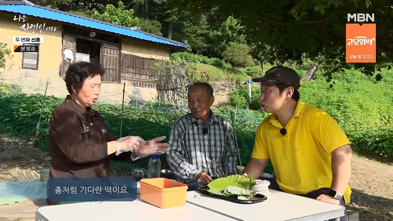 나는 자연인이다.E572.230921p-NEXT.mp4_20230921_202643.468.jpg