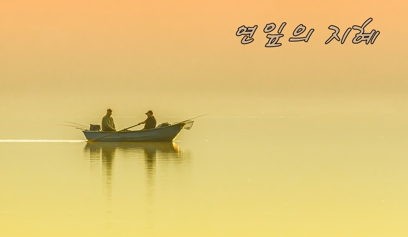  연잎의 지혜