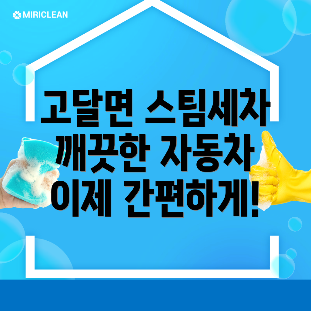 스팀세차