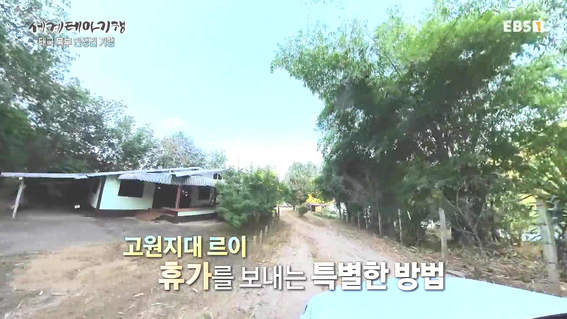 세계테마기행 240222 태국 북부 인생길 기행 -대찬 인생, 소박한 행복0p.mp4_20240807_195455.457.jpg
