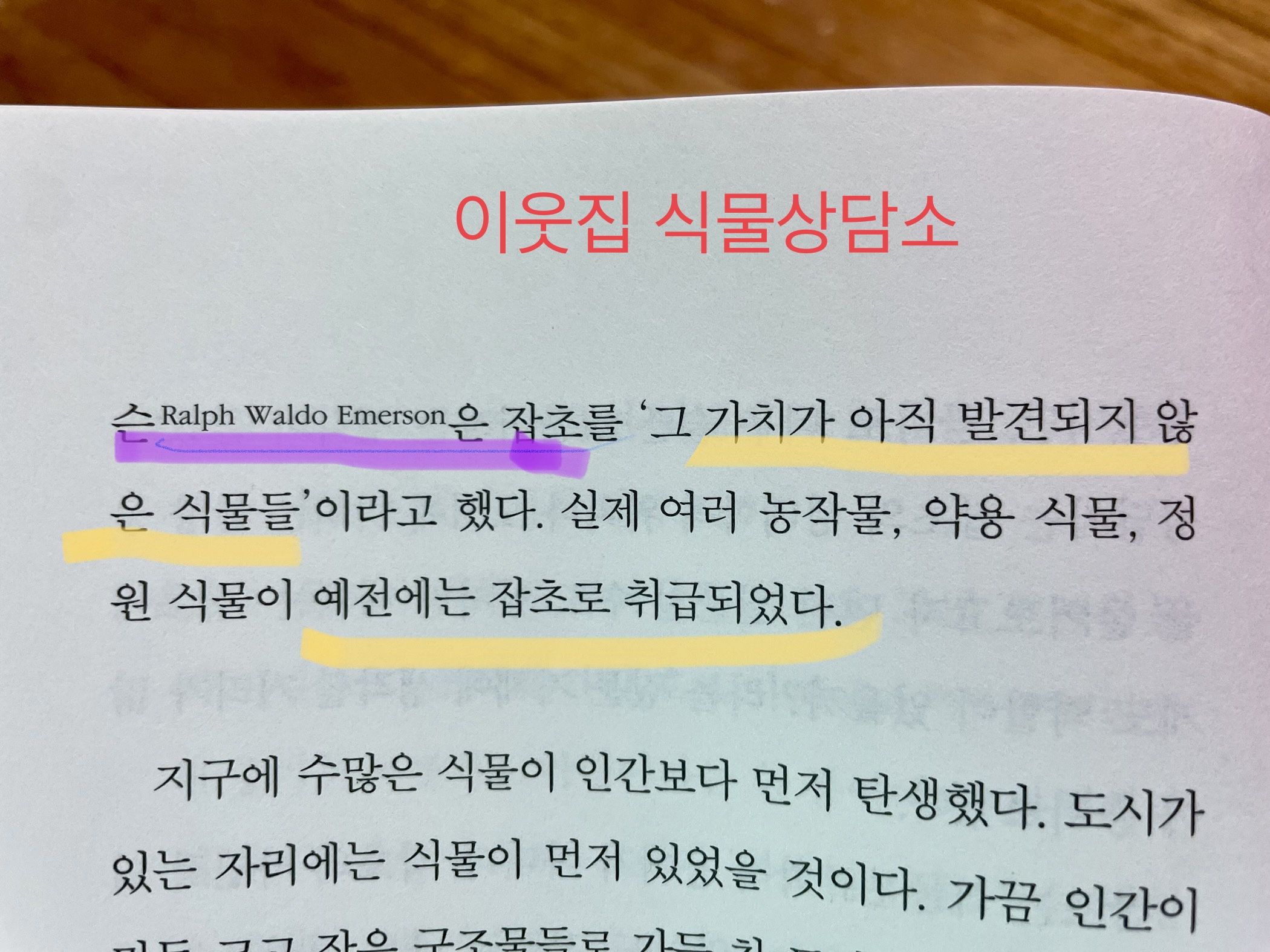  가꾸지않아도 저절로 나서 자라는 여러 풀