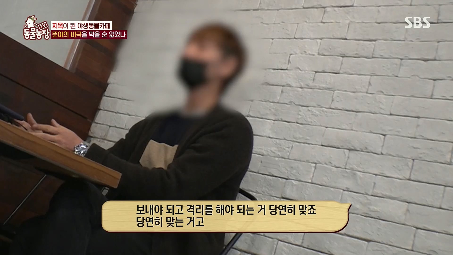 TV 동물농장.E1097.221127p.H264-F1RST.mp4_20221127_181715.882.jpg