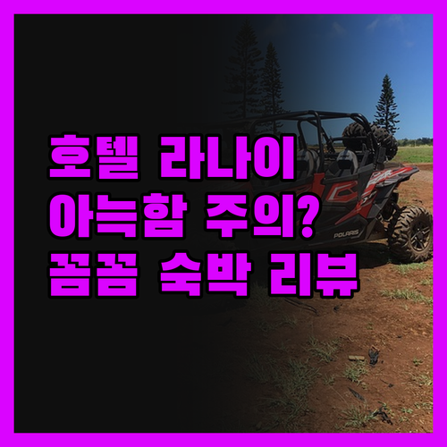 호텔 라나이, 아늑함에 속아 낭패 볼