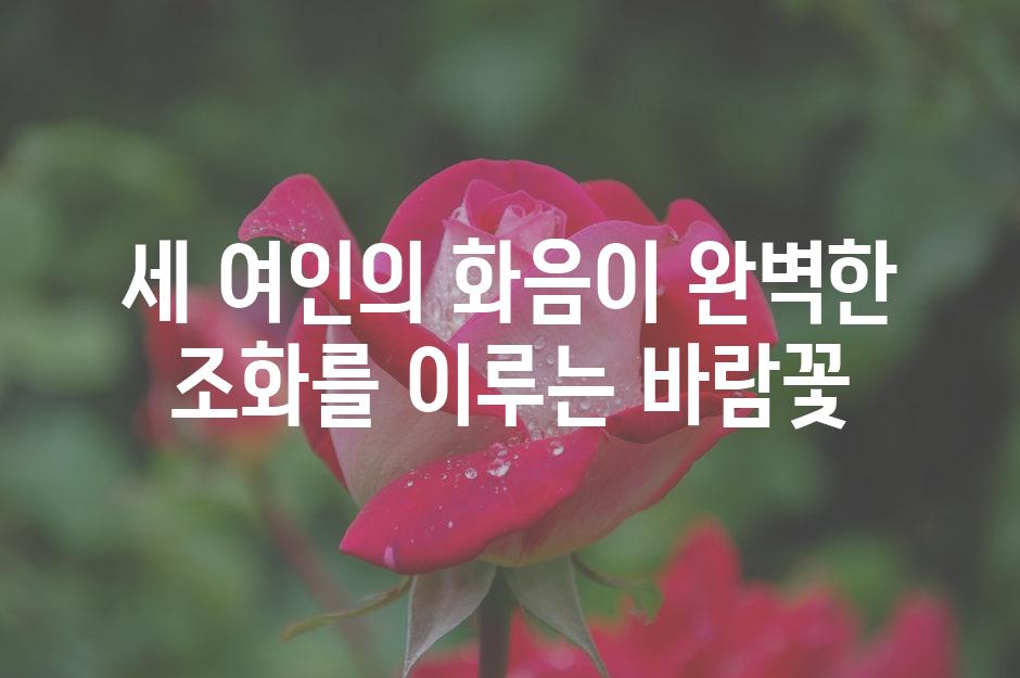 세 여인의 화음이 완벽한 조화를 이루는 바람꽃